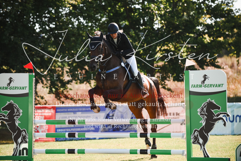 DSC_2408 | Pferde- und Turnierfotografie in Westsachsen. Pferdeportraits, Auftragszeichnungen und intuitive Kunst.