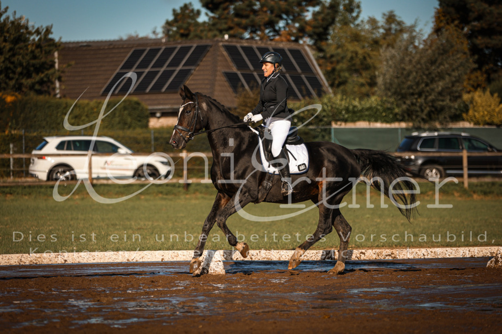 13.SoDrA100163 | Leoni Ertmer Photography - Realisiert mit Pictrs.com