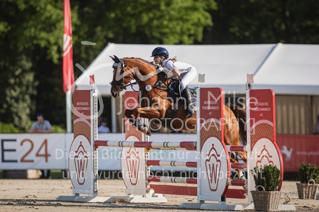 250501_MünsterHandorf_PonyTrophy-242 | Deine schönsten Turniermomente als professionelle Fotos! Entdecke hochwertige Pferdesport-Fotografie im Online-Shop. Jetzt Fotos finden & bestellen!