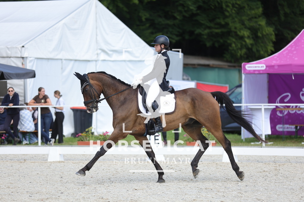 0P6A1618 | Willkommen bei Brunnmayr - Design & Fotografie – Ihrem Spezialisten für Reitturniere und Pferdeveranstaltungen in Oberösterreich, Salzburg und Bayern! Seit über 17 Jahren sind wir leidenschaftlich dabei.