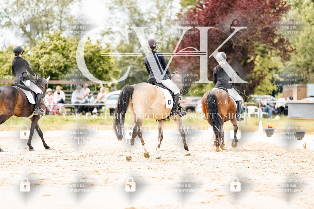 CK902829 | Turnierfotografie Pferdefotografie Trier Rheinland-Pfalz Pferdesport Reitsport Tierfotografie Sportfotografie Pferdevideo Pferdevideografie Equestrianvideography equestrianphotography  - Realisiert mit Pictrs.com