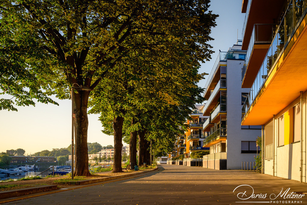 Sonnenaufgang am Winterhafen in Mainz | Sonnenaufgang am Winterhafen in Mainz