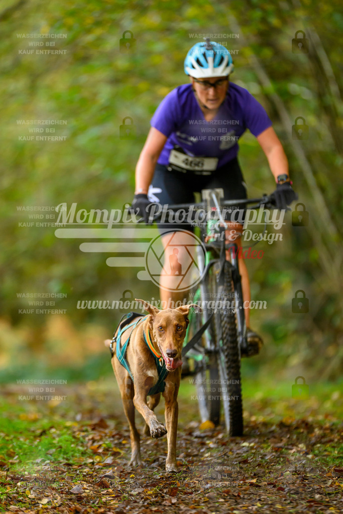 MompixPhotography_20TSB_E1_Bike-81 | PayLife