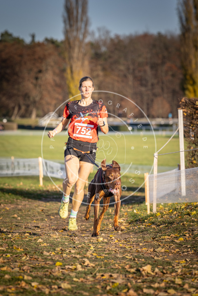 CaniXpix_DV3A2463 | Hundefotografie, Tierfotograf, Pfotenfotografie, Fotoshooting Hund, Hunde Portrait, Hundesport, Hundeportraits, Heideshooting, Hunde, Sportfotograf, Hundefotograf, Turnierhundsport, THS,  - Realisiert mit Pictrs.com
