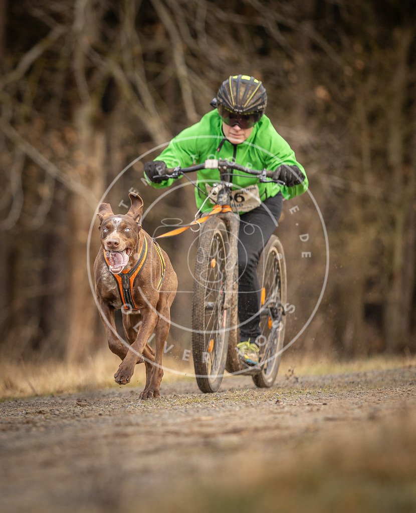 DV3A3469 | Hundefotografie, Tierfotograf, Pfotenfotografie, Fotoshooting Hund, Hunde Portrait, Hundesport, Hundeportraits, Heideshooting, Hunde, Sportfotograf, Hundefotograf, Turnierhundsport, THS,  - Realisiert mit Pictrs.com