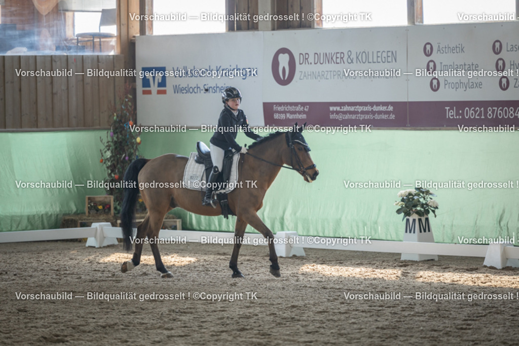 _D5A8572 | Emotionale Pferde- & People-Fotografie rund um Heidelberg, Leimen & Umgebung. Natürliche Fotos von Pferd, Mensch & Familie. Jetzt Termin sichern!