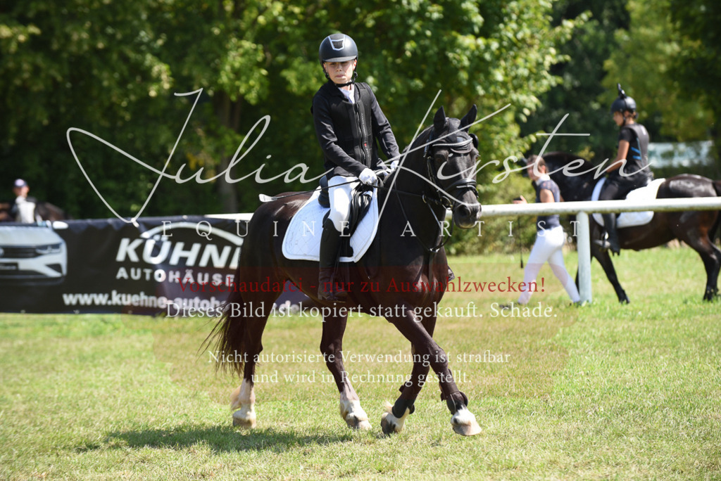 DSC_9887 | Pferde- und Turnierfotografie in Westsachsen. Pferdeportraits, Auftragszeichnungen und intuitive Kunst.