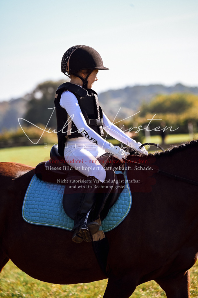 DSC_0273 | Pferde- und Turnierfotografie in Westsachsen. Pferdeportraits, Auftragszeichnungen und intuitive Kunst.