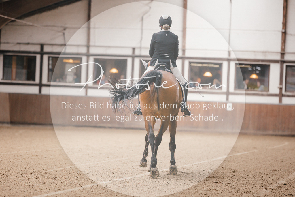 3I6A8098 | Stimmungsvolle Portraits und Reitsportfotografie im Ruhrgebiet und im Münsterland.

Pferdefotografie, Hundefotografie, Tierfotografie, Reportagen, Portraits von Tier und Mensch, Turnierfotografie in Bochum, Recklinghausen, Marl, Haltern am See, Dülmen.. - Realisiert mit Pictrs.com