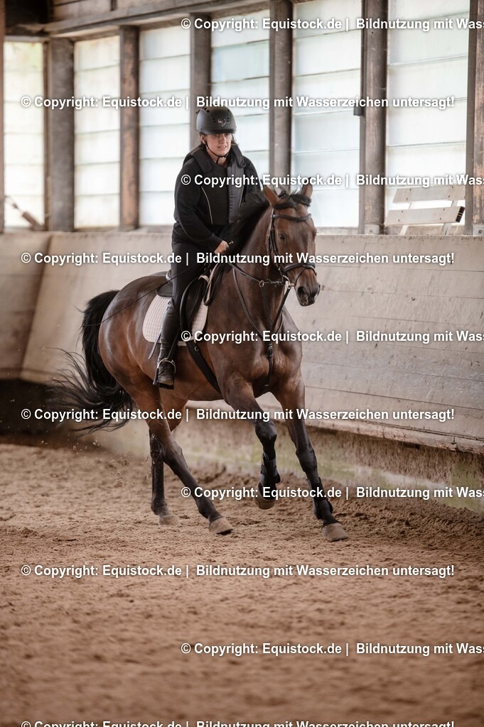 20250725_Vielseitigkeitslehrgang-Marbach_0016 | Foto: Thomas Hartig