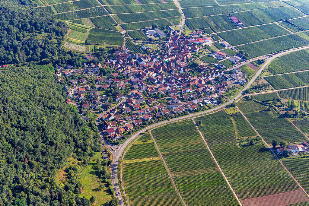 Ortsansicht von Süden | Luftbild: Ortsansicht von Süden in Eschbach im Bundesland Rheinland-Pfalz in Deutschland. Foto: IMG_143233.jpg vom 06.08.2024 durch ©2025 Werner Riehm fly-foto.de/copyright - Realisiert mit Pictrs.com