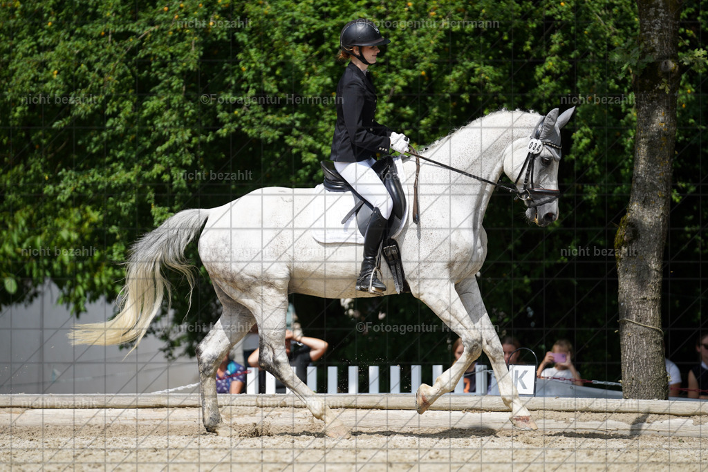 20230826-FAH05386 | Forstinning, 2023, Dressurturnier, Turniersportbilder, Turnierfotografen Bayern, Fotoagentur Herrmann, Reitsportfotografie, Turnierbilder