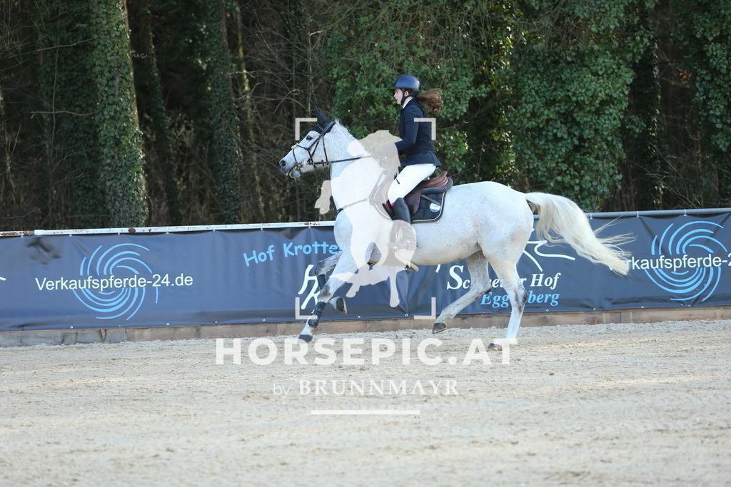 DL2Q4351 | Willkommen bei Brunnmayr - Design & Fotografie – Ihrem Spezialisten für Reitturniere und Pferdeveranstaltungen in Oberösterreich, Salzburg und Bayern! Seit über 17 Jahren sind wir leidenschaftlich dabei.