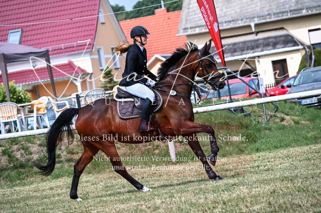 DSC_8489 | Pferde- und Turnierfotografie in Westsachsen. Pferdeportraits, Auftragszeichnungen und intuitive Kunst.