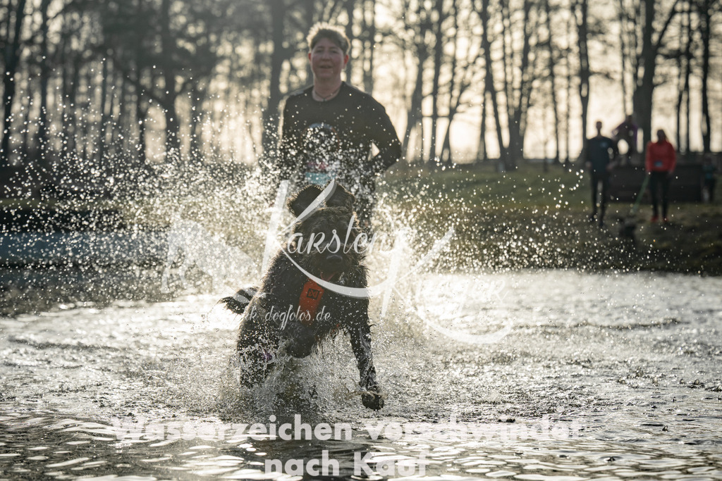 0847_ZZ98322 | kk-dogfotos