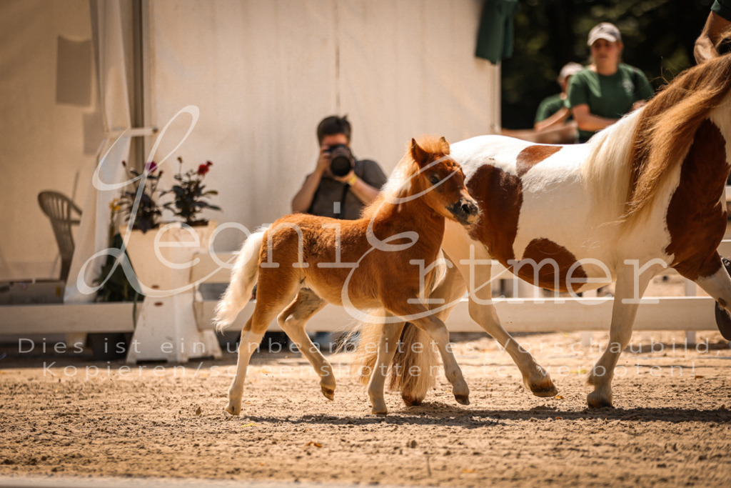 01.DoKR00109 | Leoni Ertmer Photography - Realisiert mit Pictrs.com