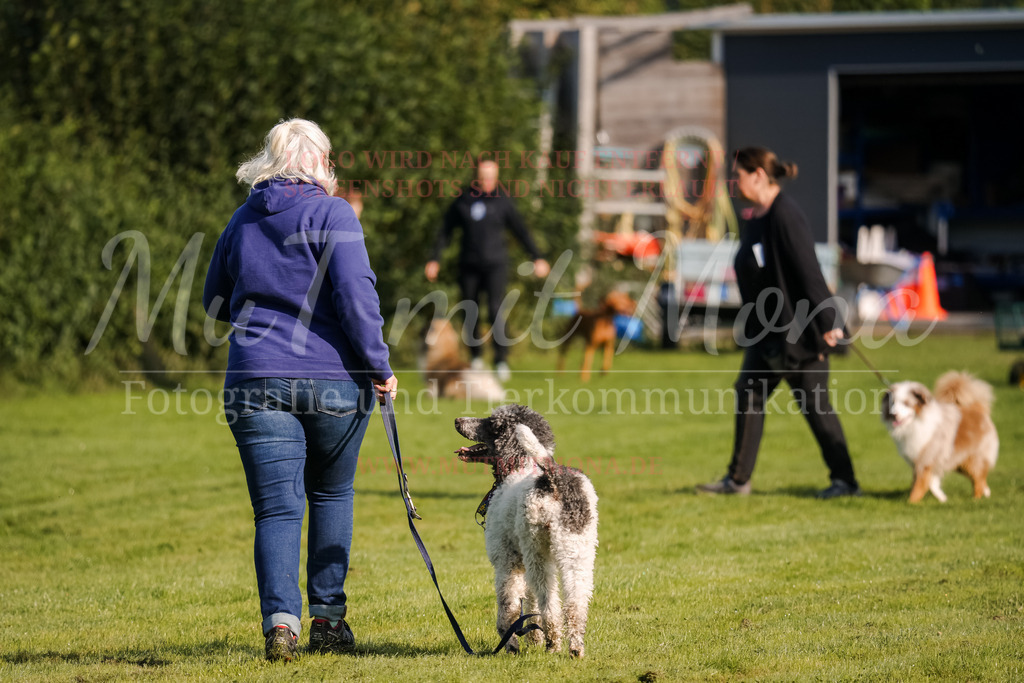 20250928_Hunderennen-9 | MuT (Mensch und Tier) mit Mona - Fotografie und Tierkommunikation - Realisiert mit Pictrs.com