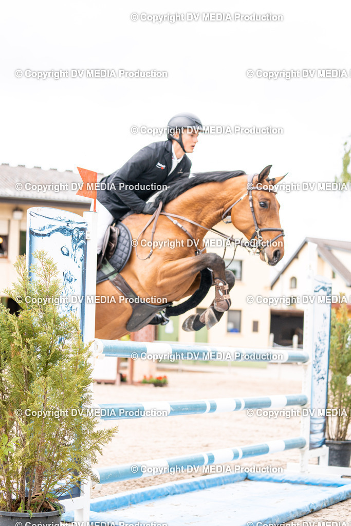 Eppelheim Tag 1-148 | dv-media-shop - Realisiert mit Pictrs.com