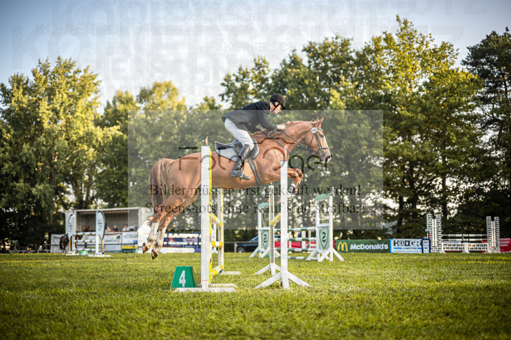 Z63_0124 | Entdecke hochwertige Reitturnierfotos von Foto Oger. Professionell, emotional und authentisch – jetzt Lieblingsmomente im Shop bestellen.Deutschlandweite Turnierfotografie. - Realisiert mit Pictrs.com