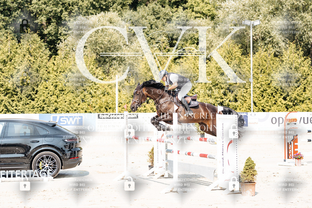 CK901719 | Turnierfotografie Pferdefotografie Trier Rheinland-Pfalz Pferdesport Reitsport Tierfotografie Sportfotografie Pferdevideo Pferdevideografie Equestrianvideography equestrianphotography  - Realisiert mit Pictrs.com
