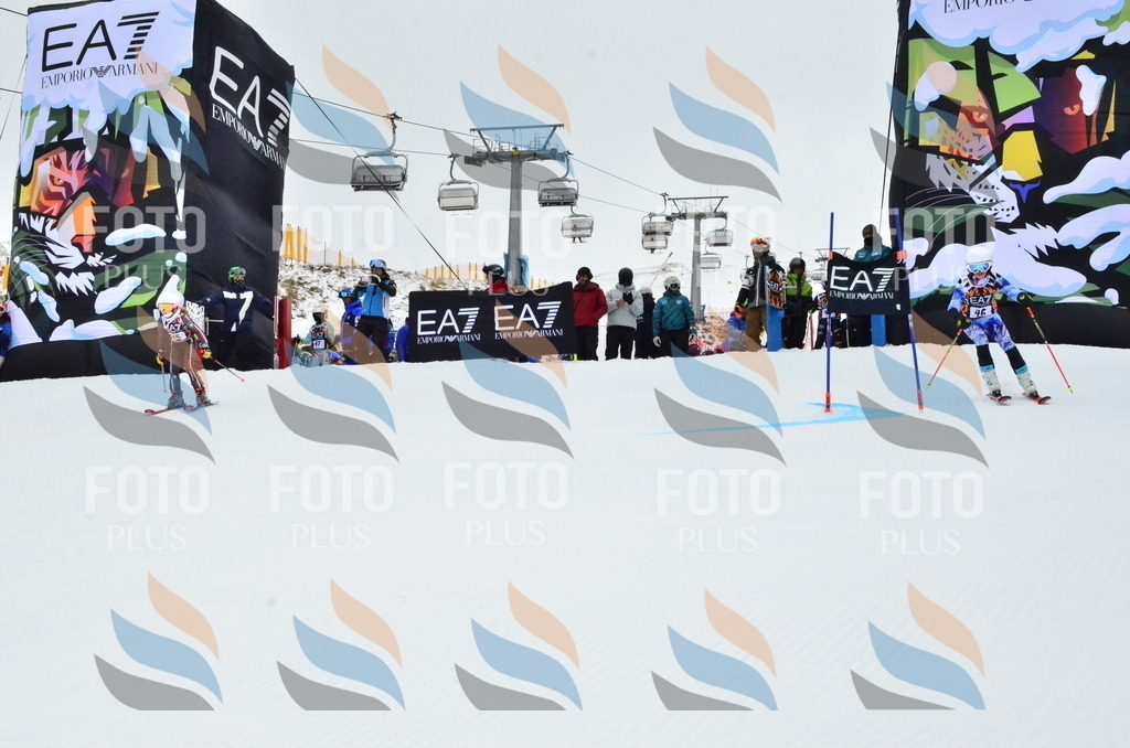 _ELE3355 | holidayphoto