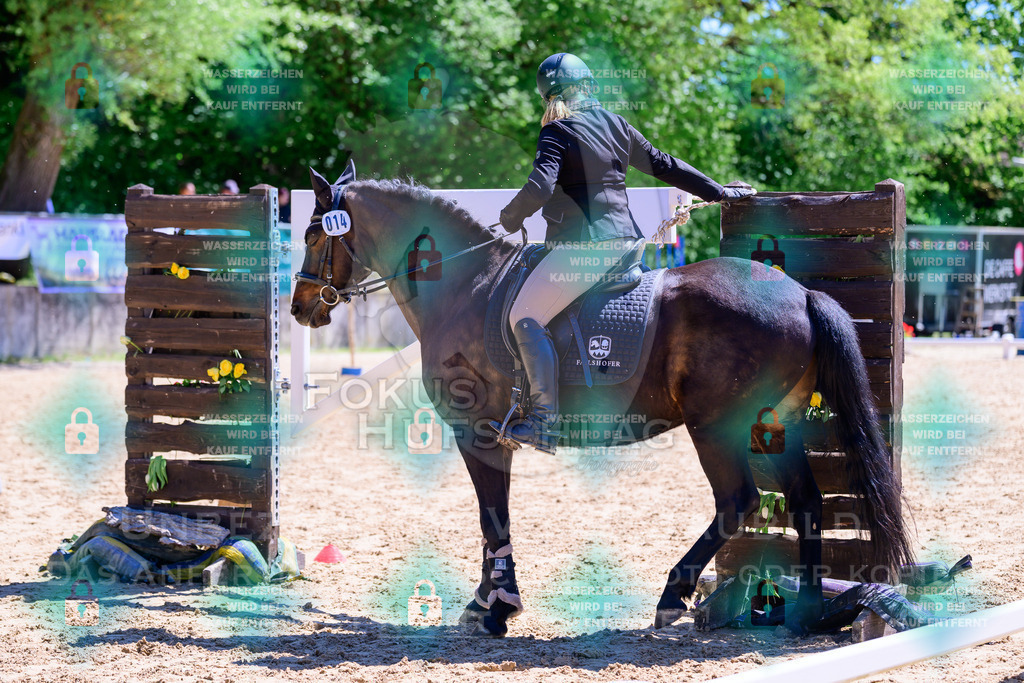 01052026-Giesenbach-02-Stiltrail-0153 | Fokus Hufschlag Fotografie - Realisiert mit Pictrs.com