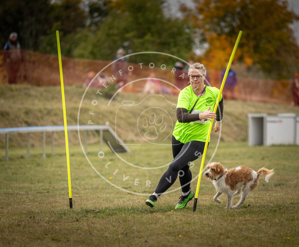 Pfotenfotografie_DV3A5916 | Hundefotografie, Tierfotograf, Pfotenfotografie, Fotoshooting Hund, Hunde Portrait, Hundesport, Hundeportraits, Heideshooting, Hunde, Sportfotograf, Hundefotograf, Turnierhundsport, THS,  - Realisiert mit Pictrs.com