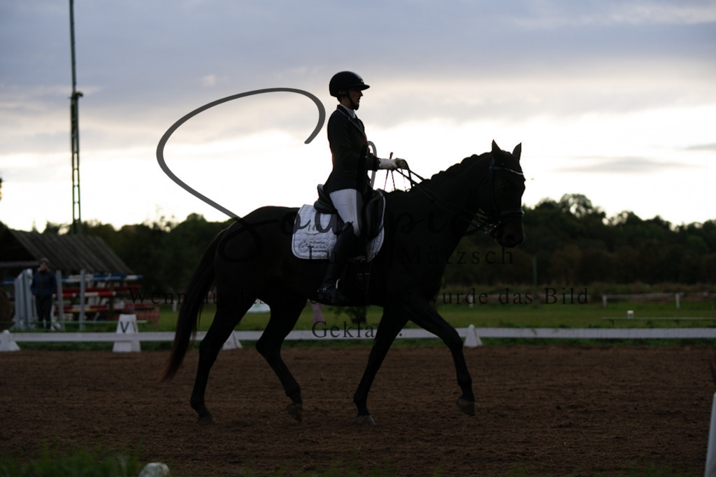 A7V06075 | Pferdefotograf