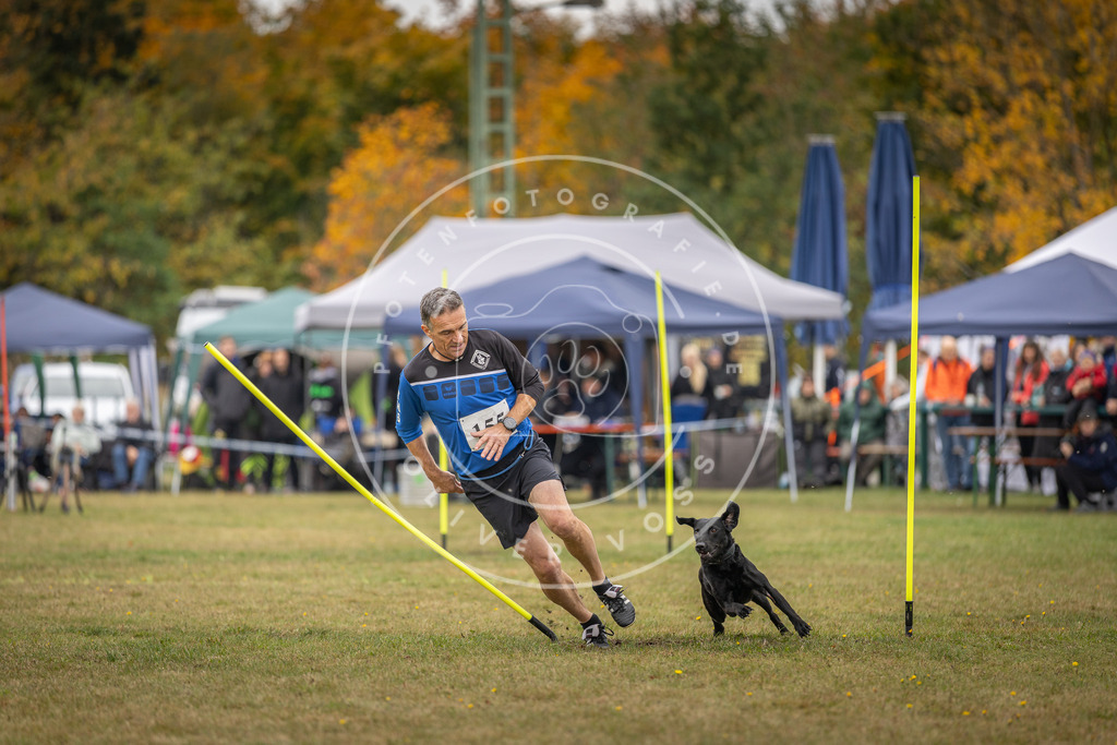 Pfotenfotografie_DV3A6418 | Hundefotografie, Tierfotograf, Pfotenfotografie, Fotoshooting Hund, Hunde Portrait, Hundesport, Hundeportraits, Heideshooting, Hunde, Sportfotograf, Hundefotograf, Turnierhundsport, THS,  - Realisiert mit Pictrs.com