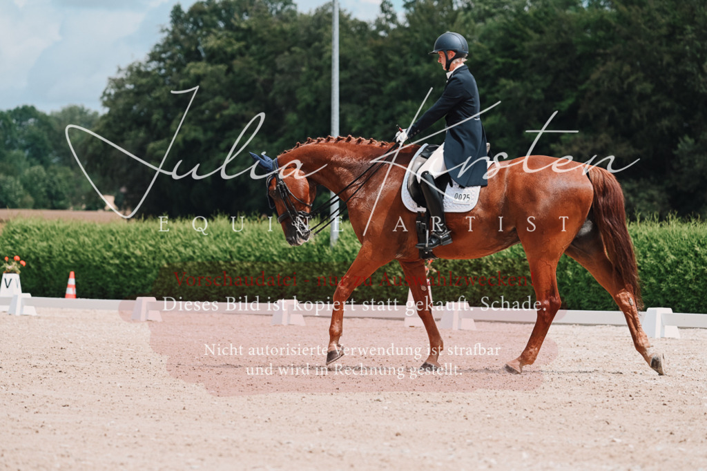 DSC_4214 | Pferde- und Turnierfotografie in Westsachsen. Pferdeportraits, Auftragszeichnungen und intuitive Kunst.
