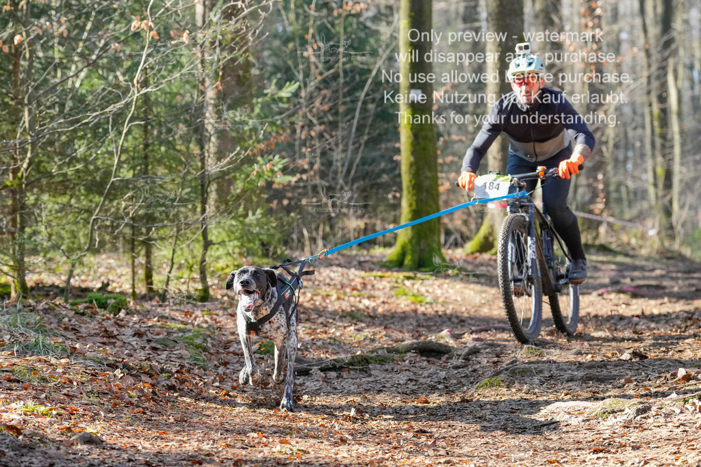 Bike_So-13 | stephaniefillaphotographie - Realisiert mit Pictrs.com