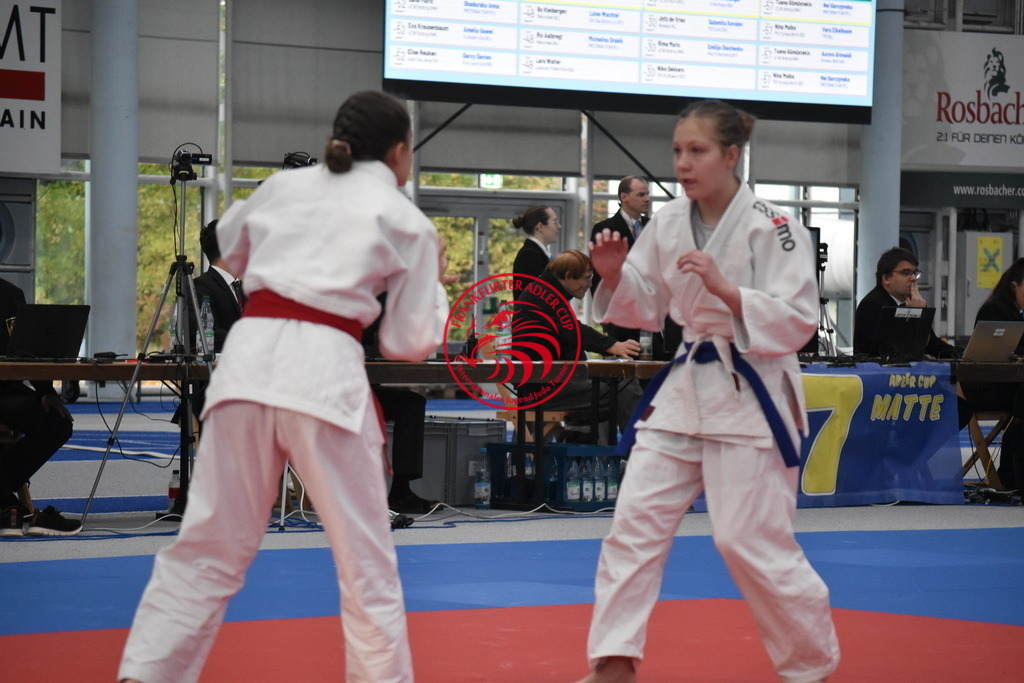 DSC_1283 | Fotos vom Adler Cup - Pictures from Adler Cup

Hier findet Ihr alle Eindrücke und großen Momente der Adler Cup Wochenenden. Here you will find all impressions and great moments of the Adler Cup weekends. - Realisiert mit Pictrs.com