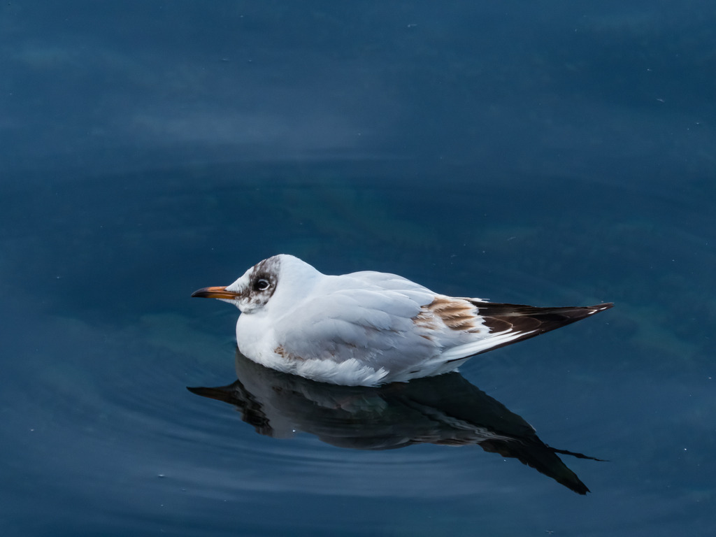 PSX_20230318_235554 | mtkfoto_ - Realisiert mit Pictrs.com