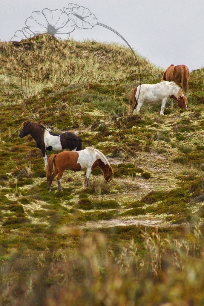 IMG_8402-01 | only.this.little.world - Realisiert mit Pictrs.com