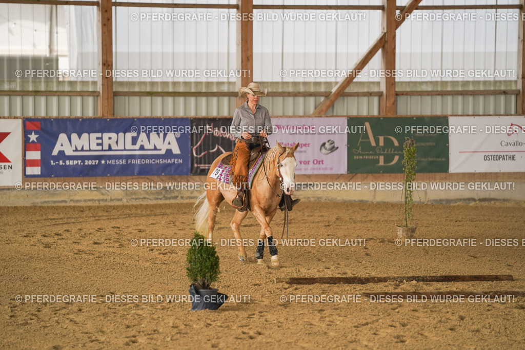 DSC01340 | Pferdegrafie