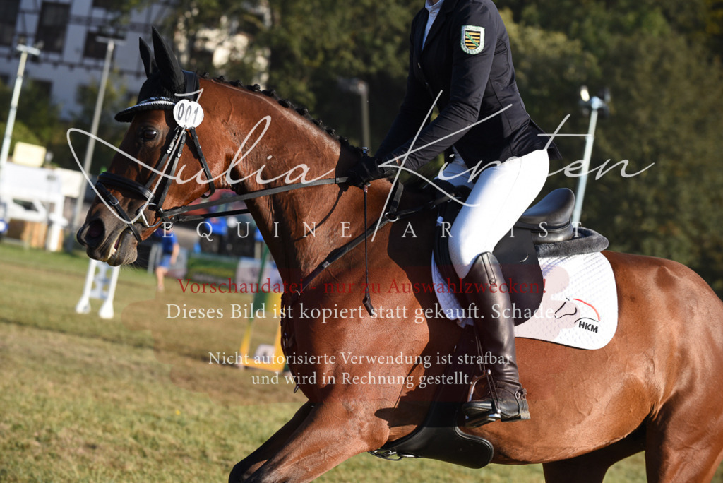 DSC_4874 | Pferde- und Turnierfotografie in Westsachsen. Pferdeportraits, Auftragszeichnungen und intuitive Kunst.