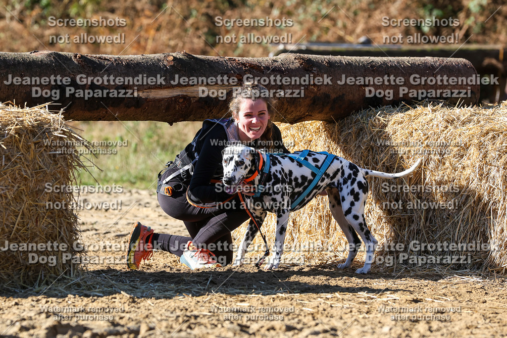 Dog Paparazzi - Strongdog 10-25-2767 | Dog Paparazzi Jeanette Grottendiek Fotografie & Videografie - Realisiert mit Pictrs.com