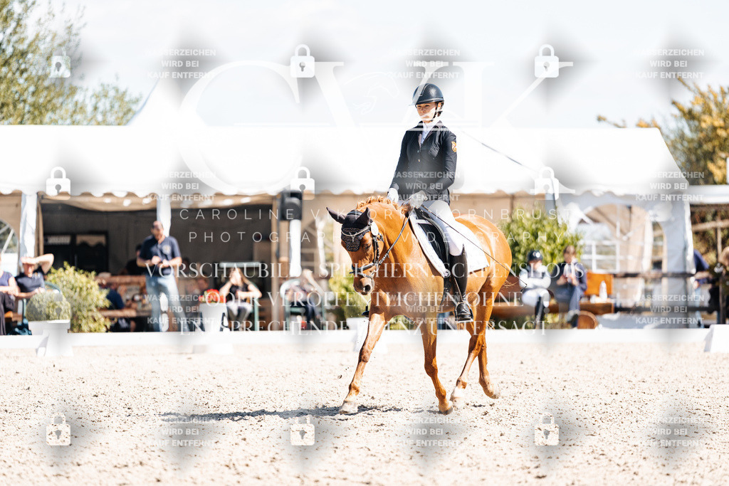 CK903527 | Turnierfotografie Pferdefotografie Trier Rheinland-Pfalz Pferdesport Reitsport Tierfotografie Sportfotografie Pferdevideo Pferdevideografie Equestrianvideography equestrianphotography  - Realisiert mit Pictrs.com