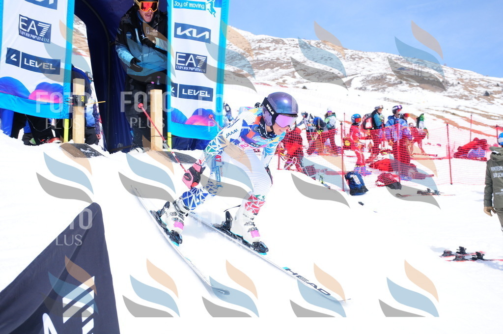 DSC_6450 | holidayphoto