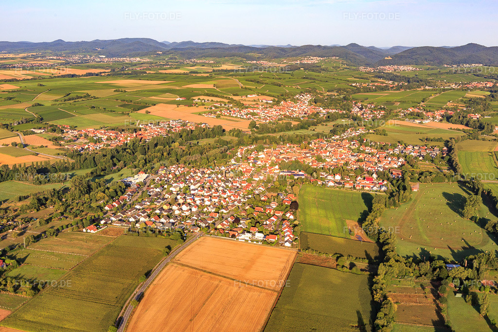 Luftbild: Ortsansicht von Nordosten im Ortsteil Billigheim in Billigheim-Ingenheim im Bundesland Rheinland-Pfalz in Deutschland. Foto: IMG_116652.jpg vom 11.08.2019 durch Werner Riehm/FLY-FOTO.de