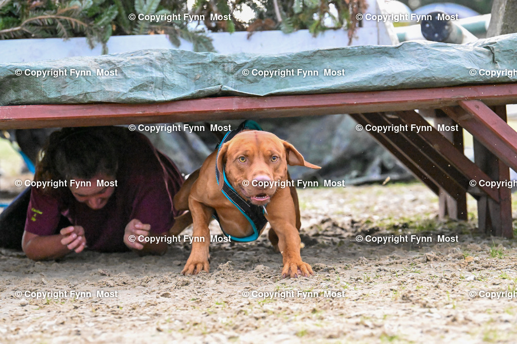 DSC_4332 | Hallo und herzlich Willkommen auf meiner Shop-Seite Fynn Most.

Ich wünsche Dir viel Spaß beim stöbern durch die Bilder, wenn Du Fragen hast oder Bilder vermisst, kannst du mir gerne eine Nachricht schreiben. - Realisiert mit Pictrs.com