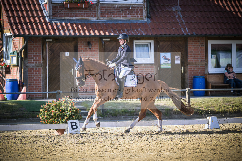 DOS_1084 | Entdecke hochwertige Reitturnierfotos von Foto Oger. Professionell, emotional und authentisch – jetzt Lieblingsmomente im Shop bestellen.Deutschlandweite Turnierfotografie. - Realisiert mit Pictrs.com