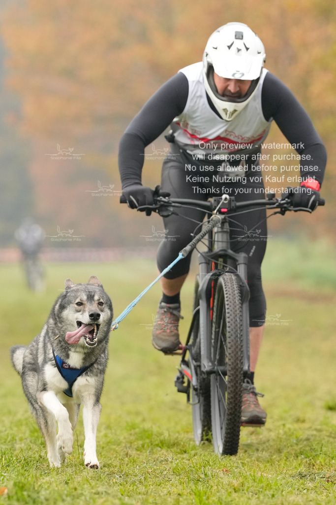 AusschnitteSa-112 | stephaniefillaphotographie - Realisiert mit Pictrs.com