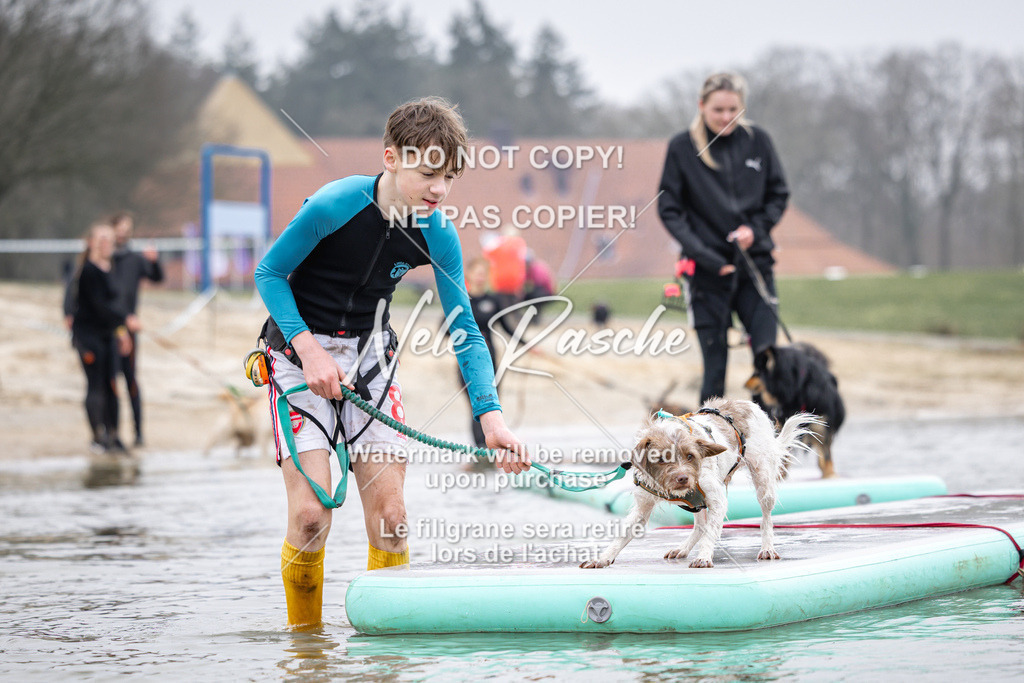nelerasche_Hulsbeek_Sa1100-1130_73 | nelerasche