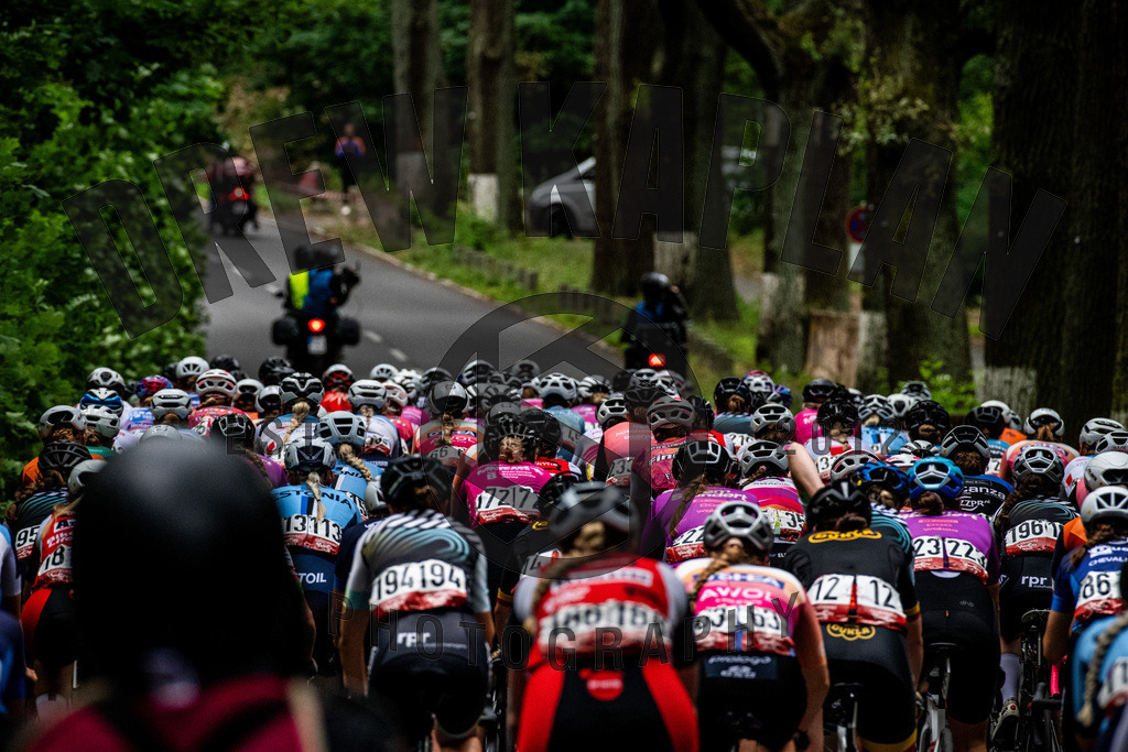 _DKP8063 | Drew Kaplan Photography