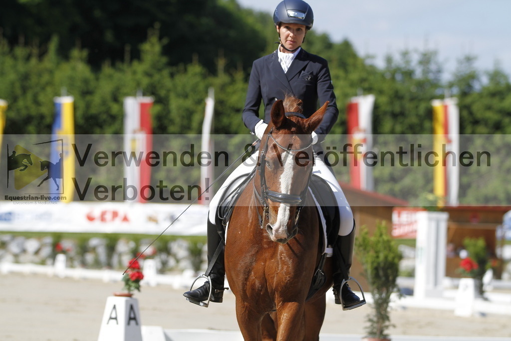 _MG_2849 | equestrian-live-com