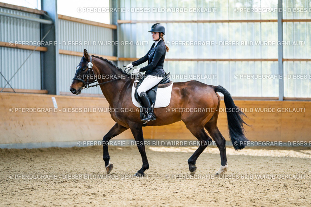 DSC05674 | Pferdegrafie