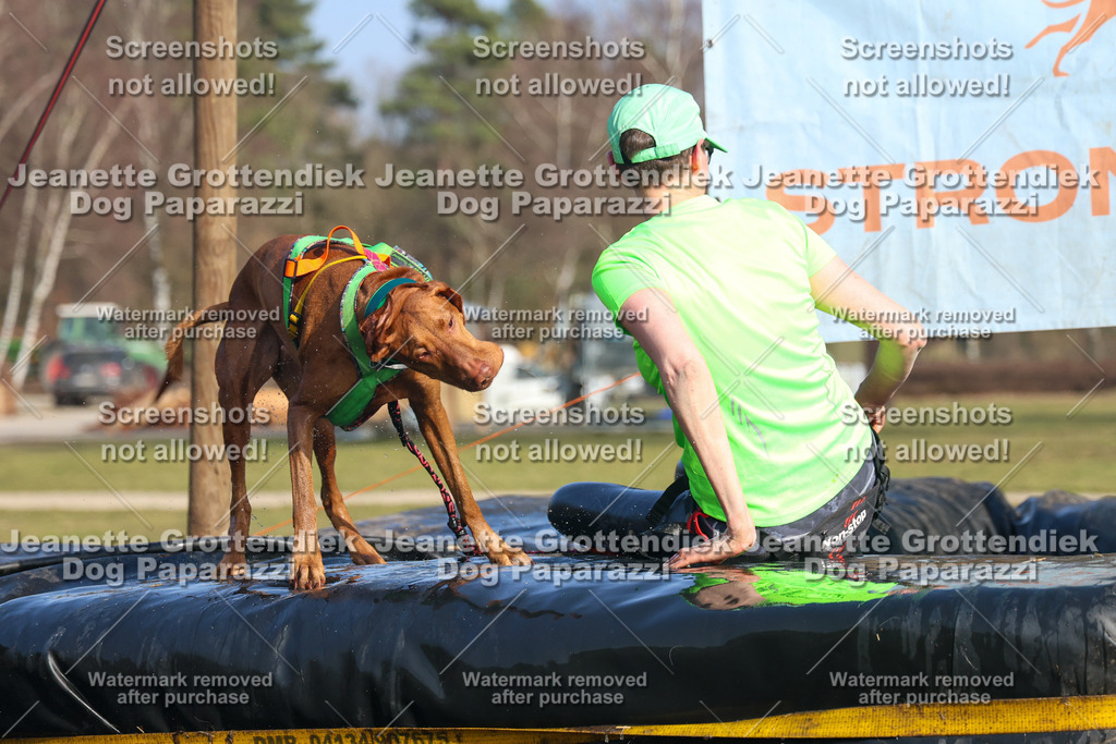 Dog Paparazzi - Strongdog North Mrz26-3336 | Dog Paparazzi Jeanette Grottendiek Fotografie & Videografie - Realisiert mit Pictrs.com