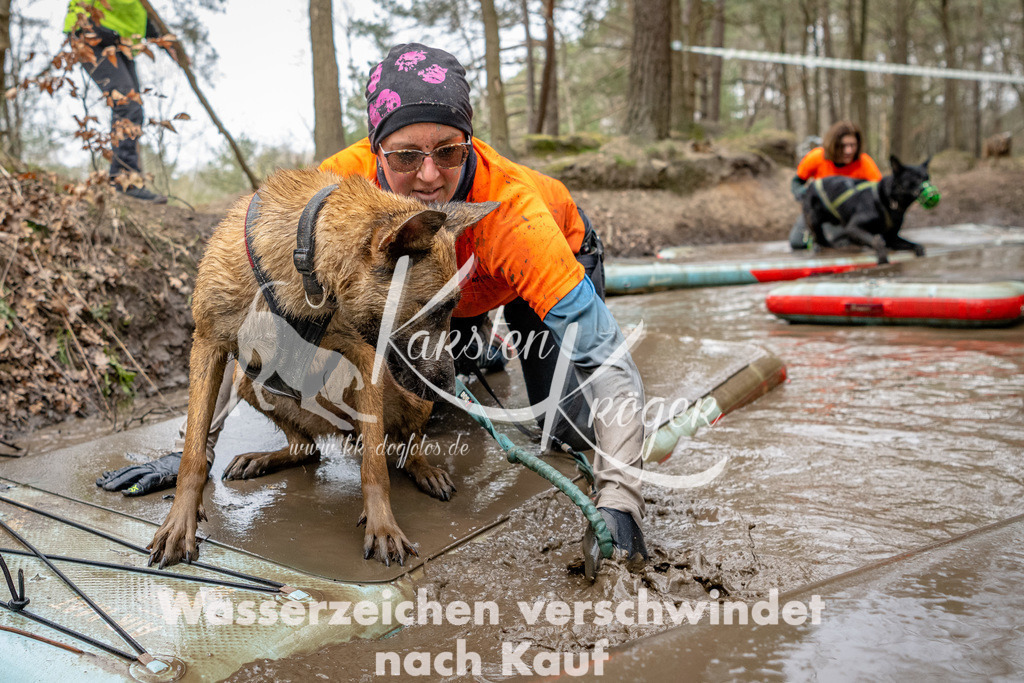 1238DSC_7424-2 | kk-dogfotos