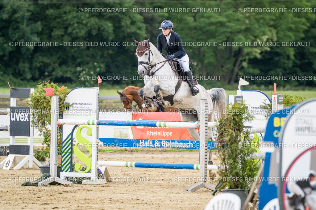 DSC06509 | Pferdegrafie